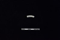 藏品(陶環)的圖片